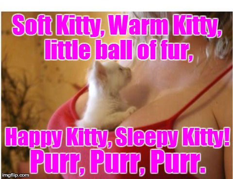 Soft Kitty, Warm Kitty, little ball of fur, Purr, Purr, Purr. Happy Kitty, Sleepy Kitty! | image tagged in soft kitty | made w/ Imgflip meme maker