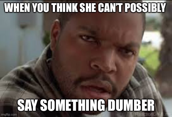 Dumb Ass | WHEN YOU THINK SHE CAN’T POSSIBLY SAY SOMETHING DUMBER | image tagged in dumb ass | made w/ Imgflip meme maker