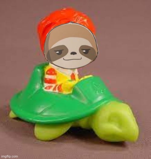 Sloth turtle | image tagged in sloth turtle | made w/ Imgflip meme maker