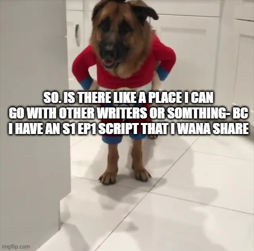 its just: chaso insues. but new house | SO. IS THERE LIKE A PLACE I CAN GO WITH OTHER WRITERS OR SOMTHING- BC I HAVE AN S1 EP1 SCRIPT THAT I WANA SHARE | image tagged in cardib doggo | made w/ Imgflip meme maker