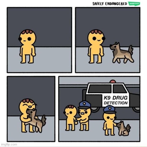they had us on the first half ngl | image tagged in comics/cartoons,drug detection,dog | made w/ Imgflip meme maker