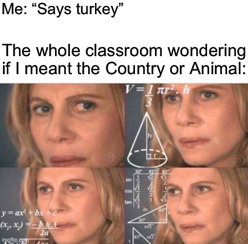 Good question | Me: “Says turkey”; The whole classroom wondering if I meant the Country or Animal: | image tagged in math lady/confused lady | made w/ Imgflip meme maker