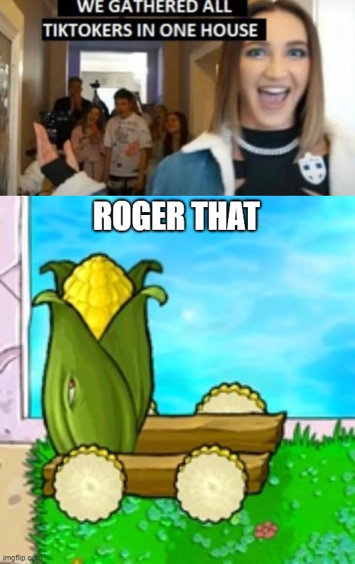 memes |  ROGER THAT | image tagged in we gathered all tiktokers in one house,plants vs zombies,memes,dank,funni,hope this gets on memenade | made w/ Imgflip meme maker