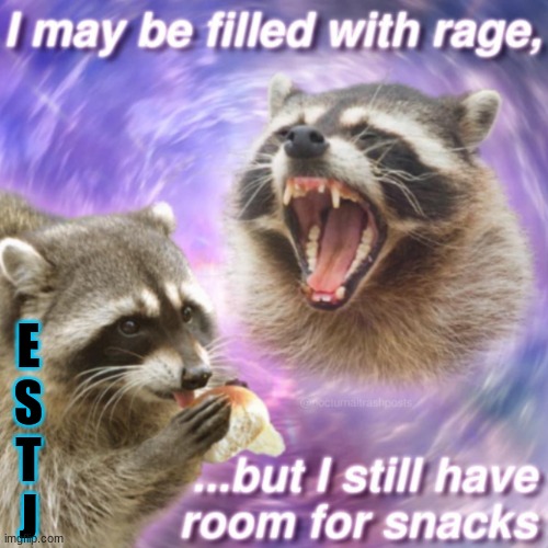 ESTJ Rage | E
S
T
J | image tagged in mbti 16personalities | made w/ Imgflip meme maker