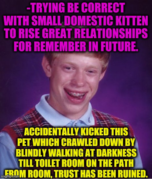 -Just sorry. | -TRYING BE CORRECT WITH SMALL DOMESTIC KITTEN TO RISE GREAT RELATIONSHIPS FOR REMEMBER IN FUTURE. ACCIDENTALLY KICKED THIS PET WHICH CRAWLED DOWN BY BLINDLY WALKING AT DARKNESS TILL TOILET ROOM ON THE PATH FROM ROOM, TRUST HAS BEEN RUINED. | image tagged in memes,bad luck brian,sad kitten,blind man,relationship advice,toilet humor | made w/ Imgflip meme maker