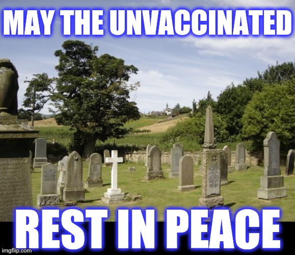 Graveyard | MAY THE UNVACCINATED REST IN PEACE | image tagged in graveyard | made w/ Imgflip meme maker