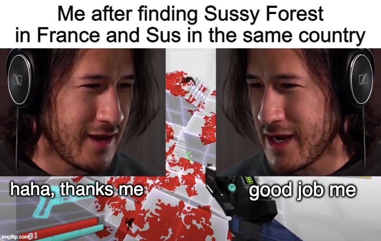 good job me | Me after finding Sussy Forest in France and Sus in the same country | image tagged in good job me | made w/ Imgflip meme maker