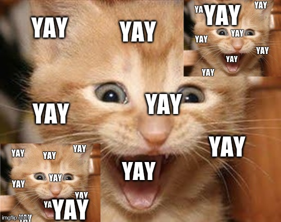 Yay!!! | YAY; YAY; YAY; YAY; YAY; YAY; YAY; YAY | image tagged in excited cat,yay,happy,exited,cat,cats | made w/ Imgflip meme maker