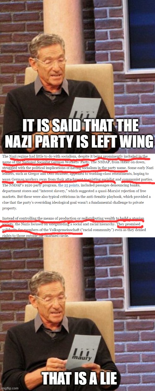 Let's put an end to this association right now. | IT IS SAID THAT THE NAZI PARTY IS LEFT WING; THAT IS A LIE | image tagged in memes,maury lie detector | made w/ Imgflip meme maker