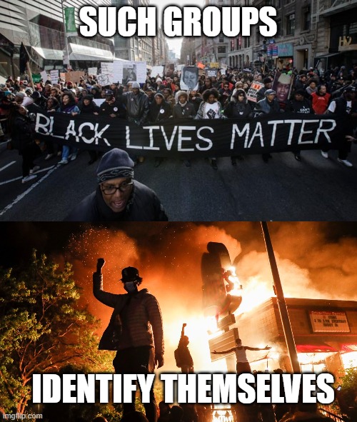 SUCH GROUPS IDENTIFY THEMSELVES | image tagged in black lives matter,blm riots | made w/ Imgflip meme maker