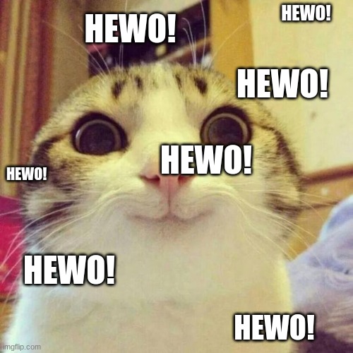 Smiling Cat Meme | HEWO! HEWO! HEWO! HEWO! HEWO! HEWO! HEWO! | image tagged in memes,smiling cat | made w/ Imgflip meme maker