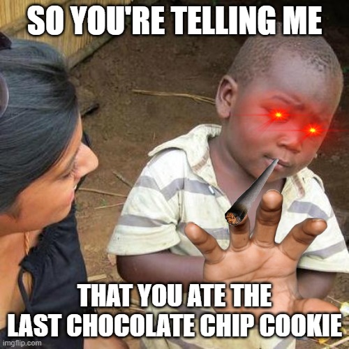 Third World Skeptical Kid Meme | SO YOU'RE TELLING ME; THAT YOU ATE THE LAST CHOCOLATE CHIP COOKIE | image tagged in memes,third world skeptical kid | made w/ Imgflip meme maker