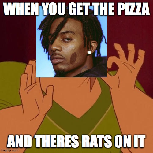 RATS ON MY MFKN PIZZA | WHEN YOU GET THE PIZZA; AND THERES RATS ON IT | image tagged in when x just right | made w/ Imgflip meme maker