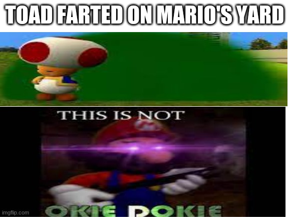 TOAD FARTED ON MARIO'S YARD | image tagged in funny memes | made w/ Imgflip meme maker
