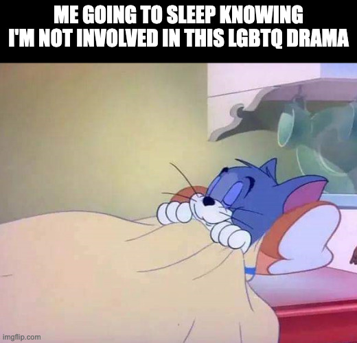 Sleep tight | ME GOING TO SLEEP KNOWING I'M NOT INVOLVED IN THIS LGBTQ DRAMA | image tagged in tom sleeping | made w/ Imgflip meme maker