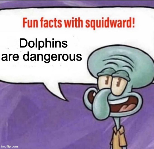 Idk bored | Dolphins are dangerous | image tagged in fun facts with squidward | made w/ Imgflip meme maker