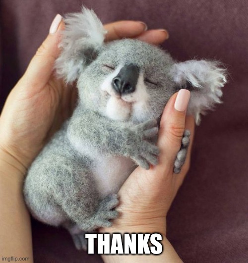 THANKS | made w/ Imgflip meme maker