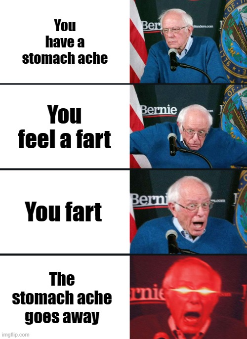 ..i'm sorry, again | You have a stomach ache; You feel a fart; You fart; The stomach ache goes away | image tagged in bernie sanders reaction nuked | made w/ Imgflip meme maker