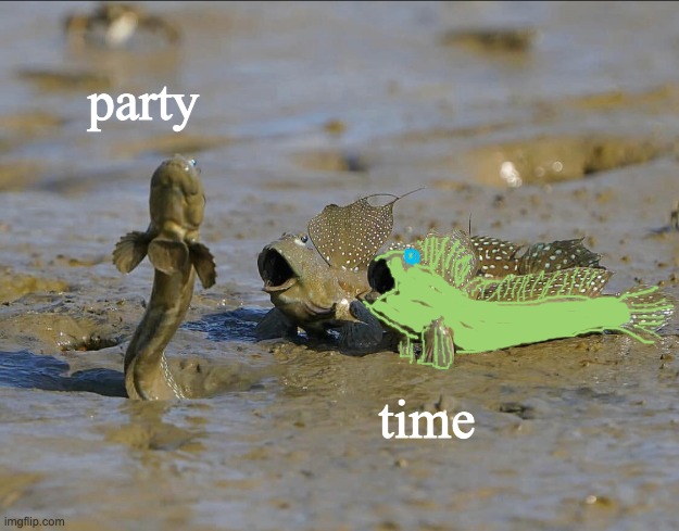 Don't let mammals have all the fun! |  party; time | image tagged in pog mudskippers,mud,cute | made w/ Imgflip meme maker