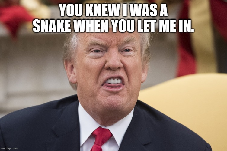 hissing trump | YOU KNEW I WAS A SNAKE WHEN YOU LET ME IN. | image tagged in donald trump,snake hiss | made w/ Imgflip meme maker