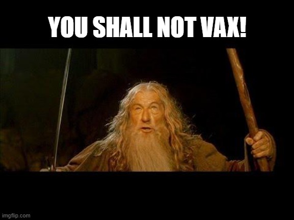You Shall Not Vax! | YOU SHALL NOT VAX! | image tagged in you shall not pass,gandalf,vaccine,vaccine mandate,government | made w/ Imgflip meme maker