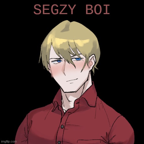 idk just picrew |  SEGZY BOI | image tagged in segzyyy | made w/ Imgflip meme maker