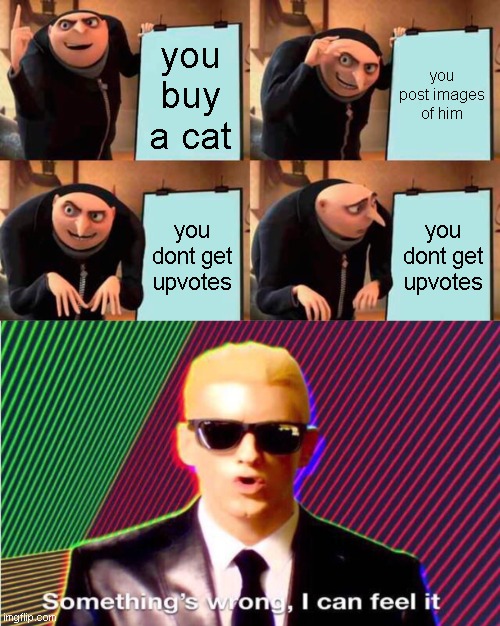 you buy a cat; you post images of him; you dont get upvotes; you dont get upvotes | image tagged in memes,gru's plan,something s wrong | made w/ Imgflip meme maker