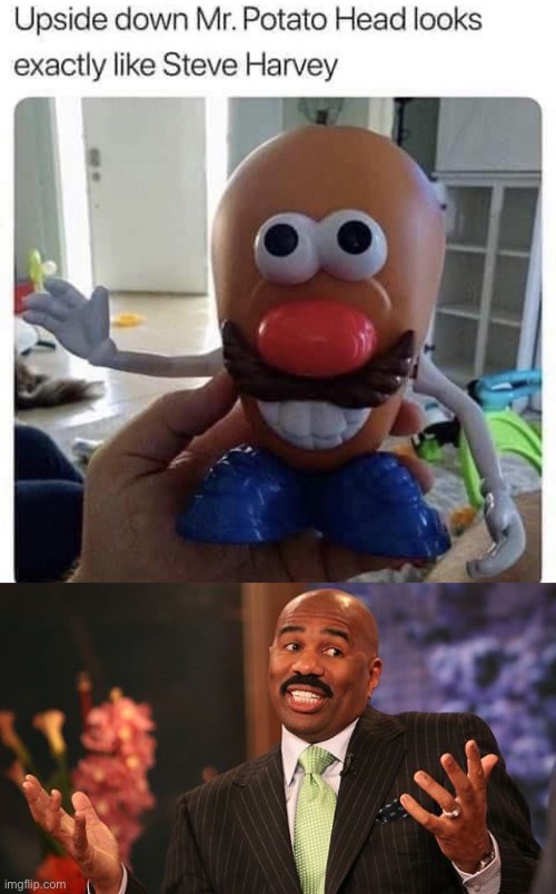 Inverted Mr. Potato Head = Steve Harvey | image tagged in memes,steve harvey,mr potato head,hold up,funny,dank memes | made w/ Imgflip meme maker