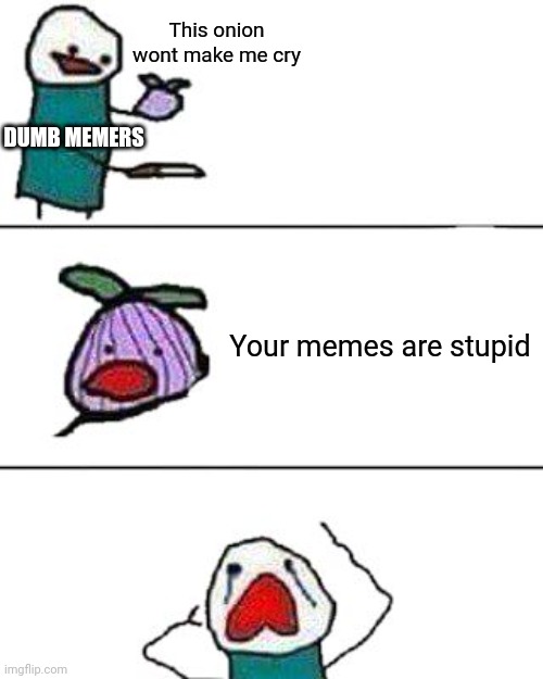 Be smart dumb memers | This onion wont make me cry; DUMB MEMERS; Your memes are stupid | image tagged in this onion won't make me cry | made w/ Imgflip meme maker