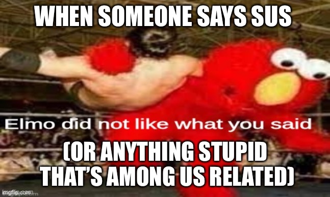 N o | WHEN SOMEONE SAYS SUS; (OR ANYTHING STUPID  THAT’S AMONG US RELATED) | image tagged in elmo did not like what you said | made w/ Imgflip meme maker