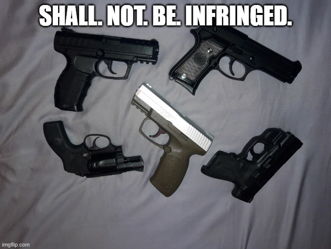 Guns | SHALL. NOT. BE. INFRINGED. | image tagged in guns | made w/ Imgflip meme maker