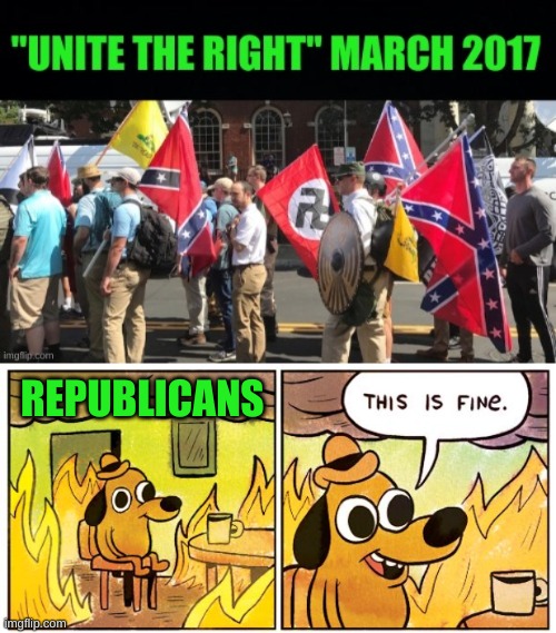 i thought they were liberal flags? | REPUBLICANS | image tagged in memes,this is fine,confederate flag,nazi flag,white nationalism,conservative hypocrisy | made w/ Imgflip meme maker