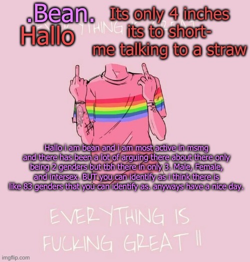 Hallo i am bean i am a lesbian and i use all pronouns preferably they them tho | Hallo; Hallo i am bean and i am most active in msmg and there has been a lot of arguing there about there only being 2 genders but tbh there in only 3. Male, Female, and intersex. BUT you can identify as i think there is like 83 genders that you can identify as. anyways have a nice day. | image tagged in beans gayer temp v2 | made w/ Imgflip meme maker