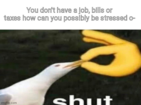 Please don't say this to your kids |  You don't have a job, bills or taxes how can you possibly be stressed o- | made w/ Imgflip meme maker