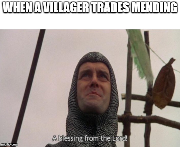 A blessing from the lord | WHEN A VILLAGER TRADES MENDING | image tagged in a blessing from the lord | made w/ Imgflip meme maker