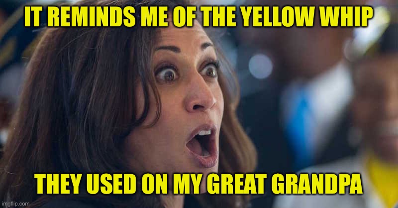kamala harriss | IT REMINDS ME OF THE YELLOW WHIP THEY USED ON MY GREAT GRANDPA | image tagged in kamala harriss | made w/ Imgflip meme maker