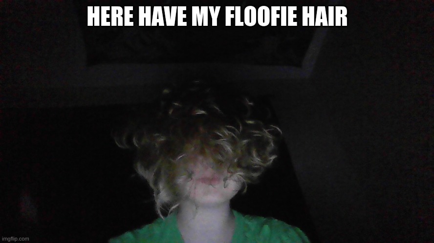 HERE HAVE MY FLOOFIE HAIR | made w/ Imgflip meme maker