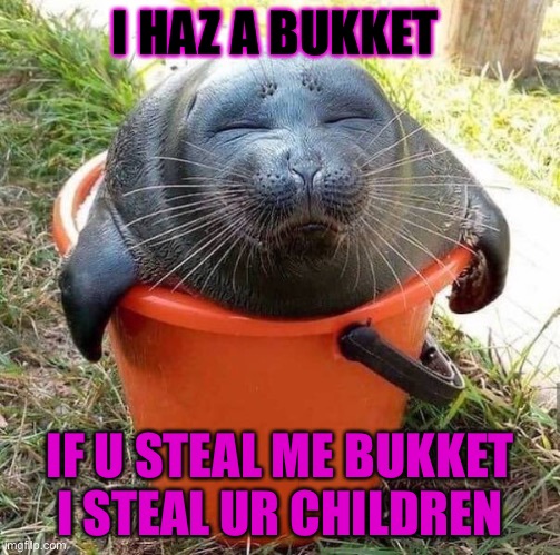 My bukket | I HAZ A BUKKET; IF U STEAL ME BUKKET I STEAL UR CHILDREN | image tagged in memes | made w/ Imgflip meme maker