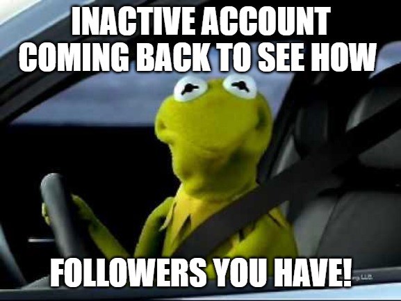 JUST CHECKING | INACTIVE ACCOUNT COMING BACK TO SEE HOW; FOLLOWERS YOU HAVE! | image tagged in kermit car,kermit the frog | made w/ Imgflip meme maker