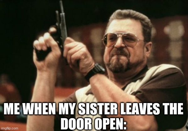 Am I The Only One Around Here | ME WHEN MY SISTER LEAVES THE
DOOR OPEN: | image tagged in funny,am i the only one around here,american moment | made w/ Imgflip meme maker