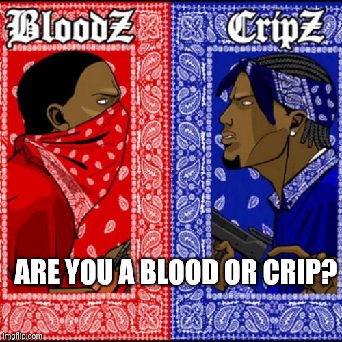 Blood and Crip | ARE YOU A BLOOD OR CRIP? | image tagged in blood and crip | made w/ Imgflip meme maker