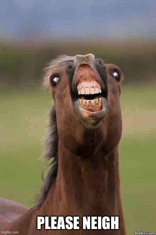 Horse go neigh | PLEASE NEIGH | image tagged in horse face,oh no,neigh | made w/ Imgflip meme maker