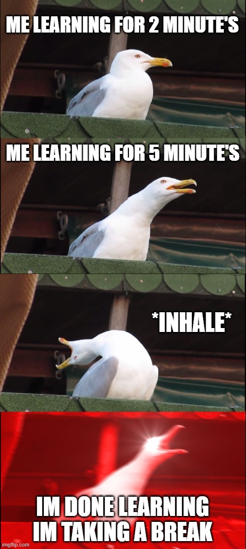 learning | ME LEARNING FOR 2 MINUTE'S; ME LEARNING FOR 5 MINUTE'S; *INHALE*; IM DONE LEARNING IM TAKING A BREAK | image tagged in memes,inhaling seagull | made w/ Imgflip meme maker