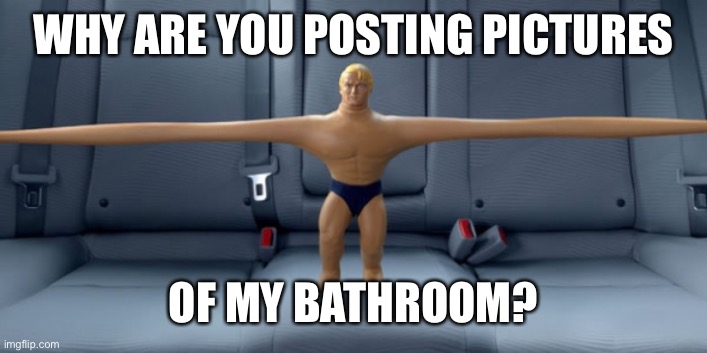 Stretch armstrong | WHY ARE YOU POSTING PICTURES OF MY BATHROOM? | image tagged in stretch armstrong | made w/ Imgflip meme maker