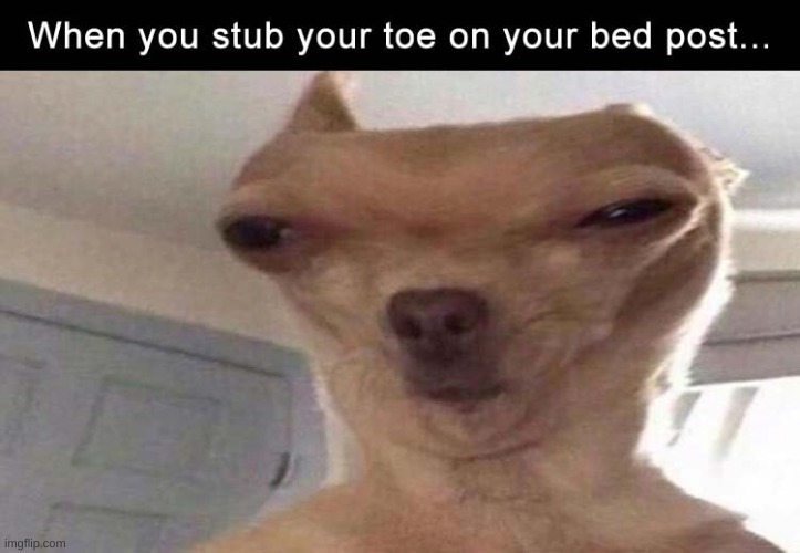 toe | image tagged in toes,bed | made w/ Imgflip meme maker