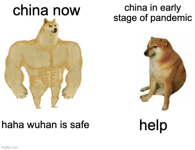 shoutout to my Chinese buddys | china now; china in early stage of pandemic; haha wuhan is safe; help | image tagged in memes,buff doge vs cheems | made w/ Imgflip meme maker