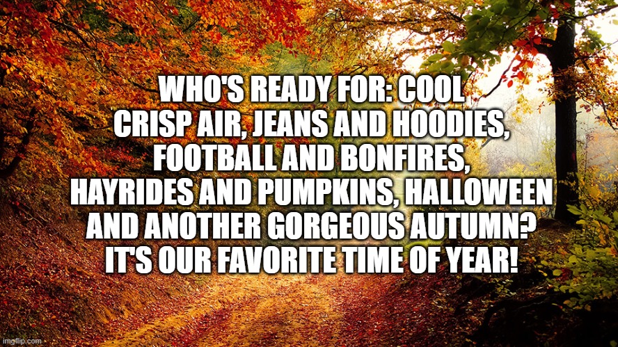 Fall is in the air, happens to be my favorite time of the year