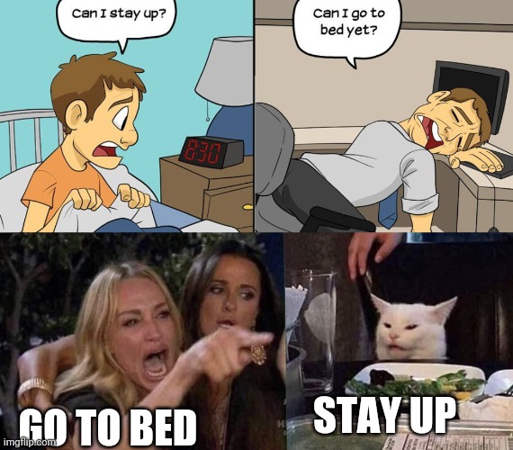 Old childhood | GO TO BED; STAY UP | image tagged in woman yelling at cat | made w/ Imgflip meme maker