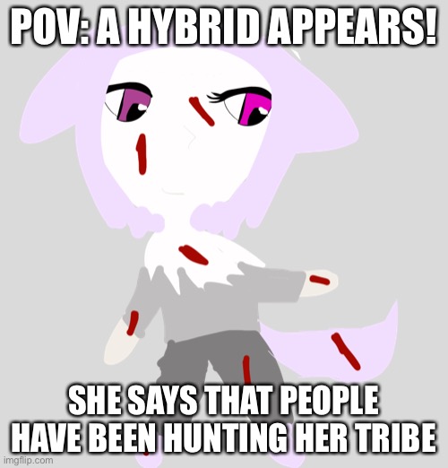 Frostbite | POV: A HYBRID APPEARS! SHE SAYS THAT PEOPLE HAVE BEEN HUNTING HER TRIBE | image tagged in roleplaying,rpg,arctic,fox,cat | made w/ Imgflip meme maker