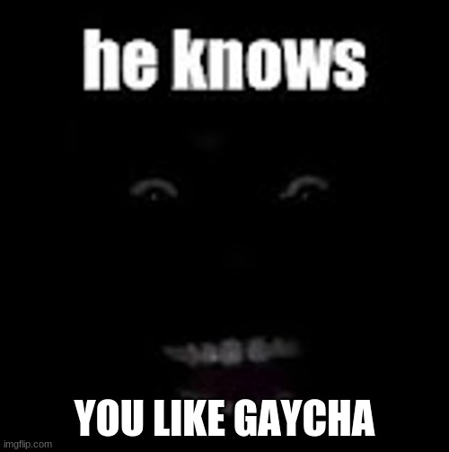 He Knows | YOU LIKE GAYCHA | image tagged in he knows | made w/ Imgflip meme maker